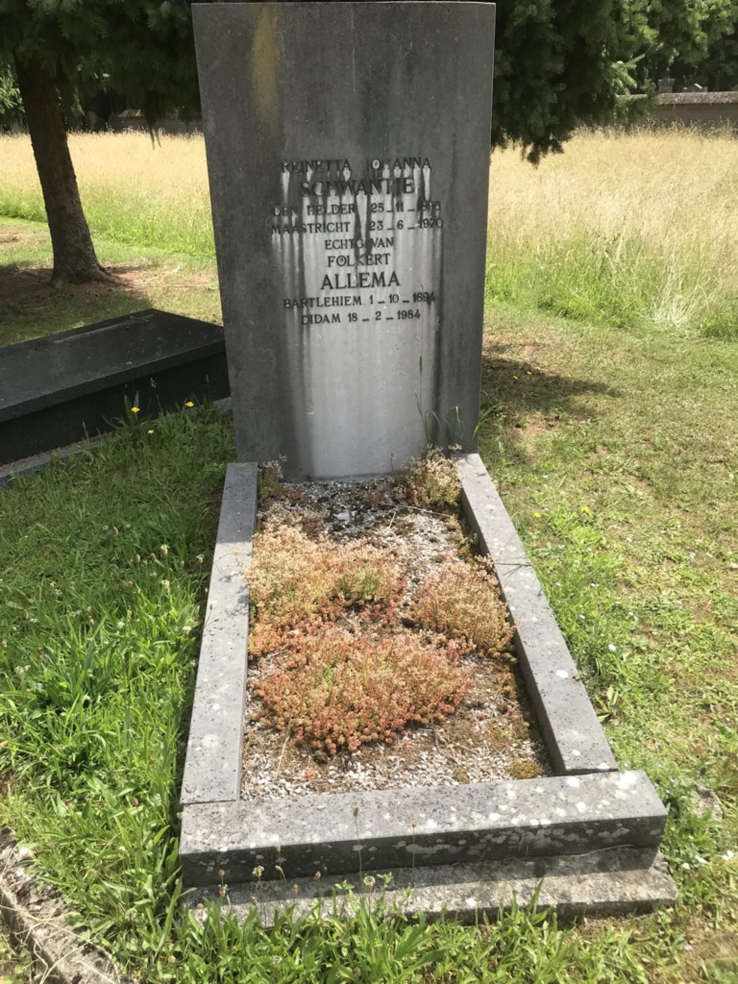 Het graf van Folkert Allema.